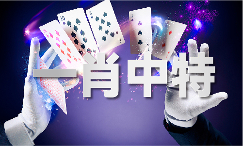 香港六码宝典资料大全2V51