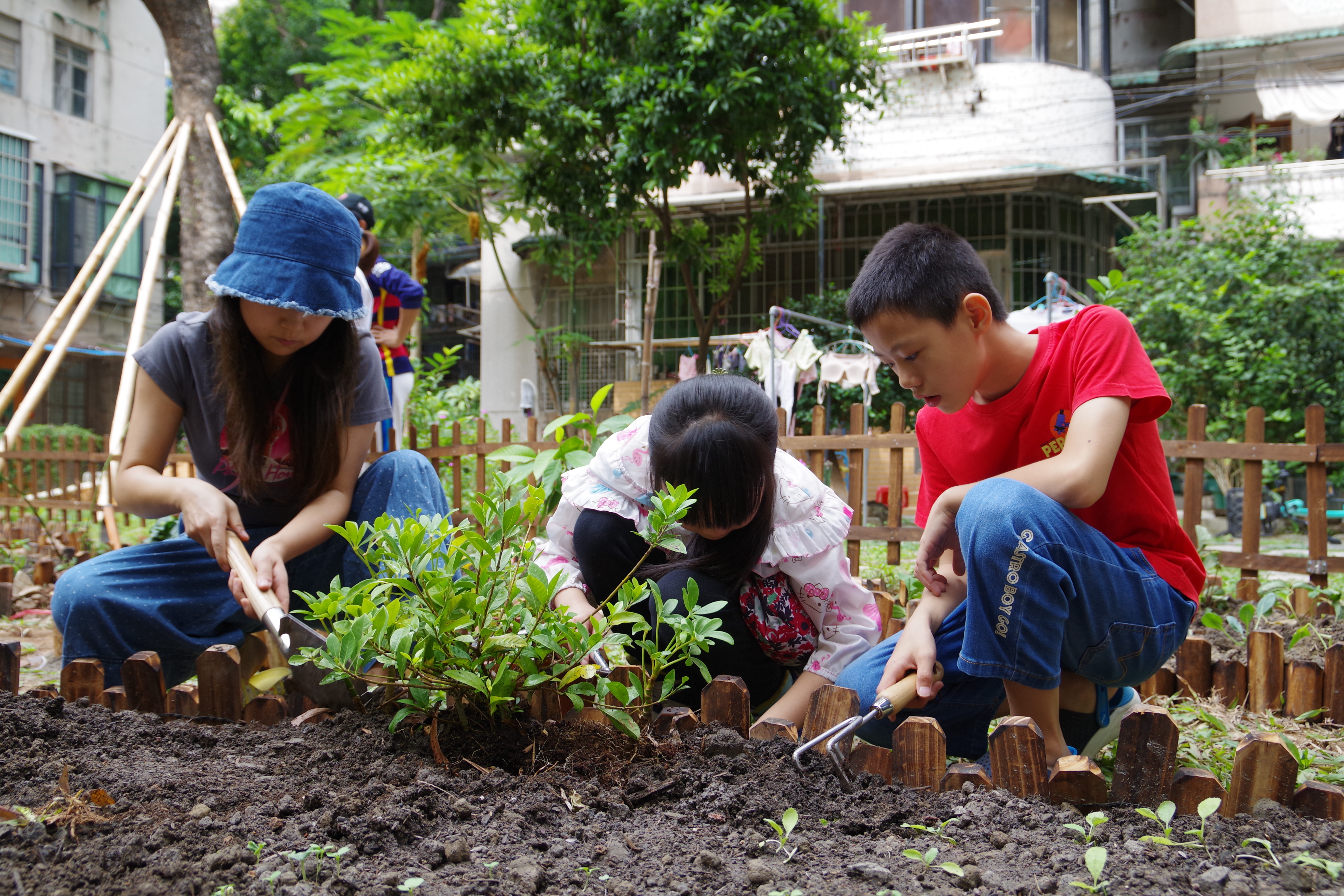 万博ManBetX视频｜广州海珠江南中街：“小花园”让幸福满格打开社区治理新方式(图3)