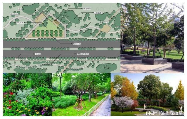 bat365在线平台我国城市园林绿化普遍规划不合理(图13)