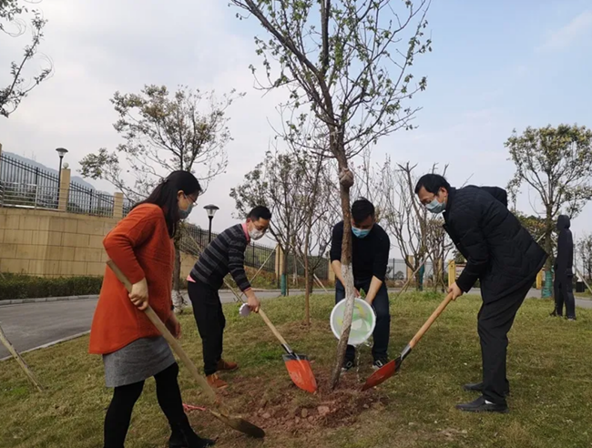 bat365在线平台官方网站防疫添绿两不误重庆市各中小学开展2020年植树节活动(图1)