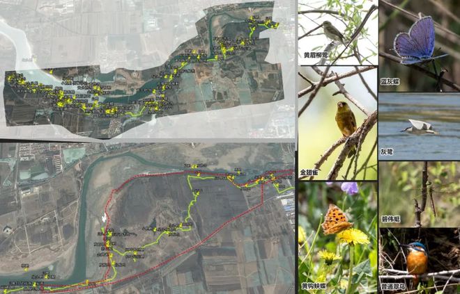 bat365在线平台风景园林与旅游类 2019北京世园会自然生态展示区园林景观工(图3)