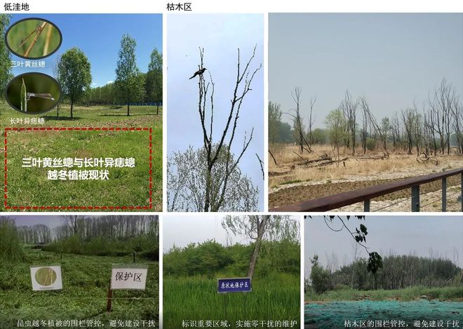 bat365在线平台风景园林与旅游类 2019北京世园会自然生态展示区园林景观工(图6)