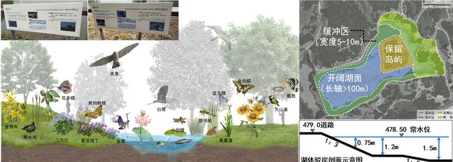bat365在线平台风景园林与旅游类 2019北京世园会自然生态展示区园林景观工(图5)