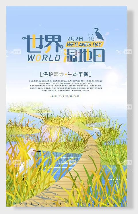 bat365在线平台官方网站世界湿地日海报图片 - 湿地宣传设计展板素材(图4)